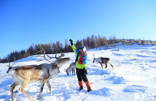 长江中下游降雪有哪些城市2018 下雪去哪里玩 长江中下游降雪有哪些城市2018 下雪去哪里玩