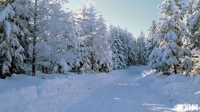 2018年冬天会下雪吗 今年是暖冬还是冷冬