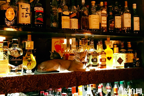 东京有哪些特色酒吧