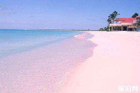 粉红沙滩在哪 全球有多少粉红沙滩